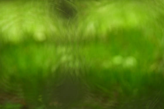 greenblur.jpg
