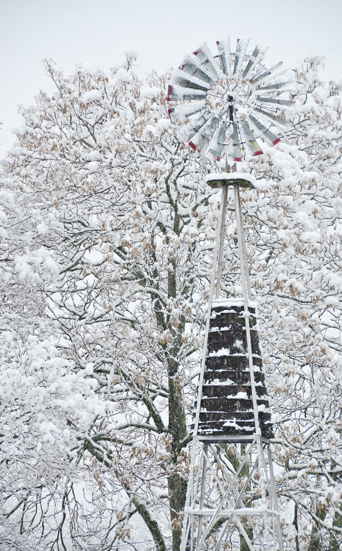 snowmill.jpg